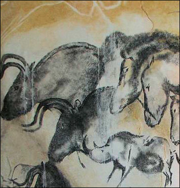 20120206-Chauvet cave paintings.JPG